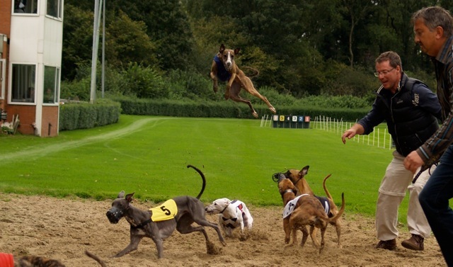 Rijssen