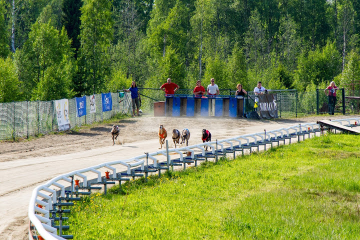 Skellefteå Greyhound Park